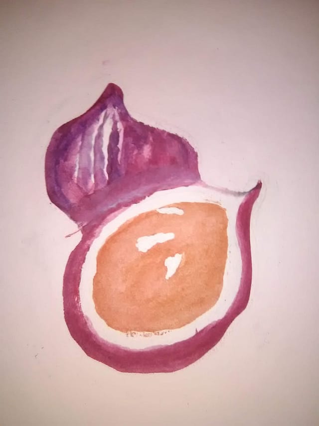 watercolor exercise #9 - pomegranates